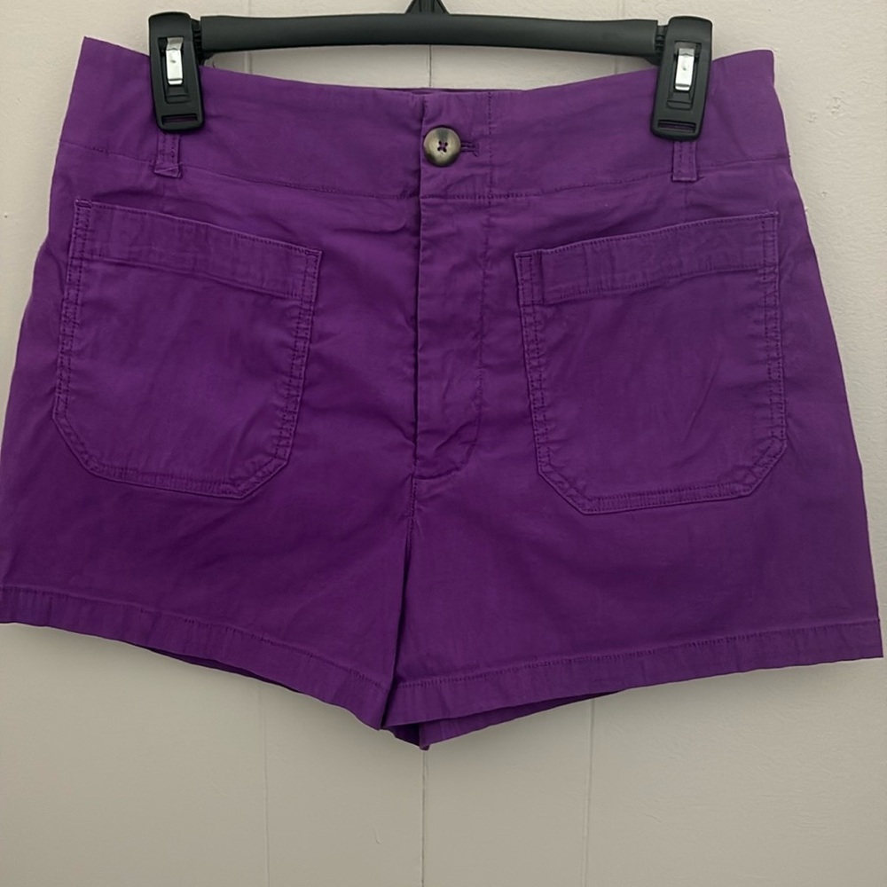 Anthropology Maeve Colette Purple Shorts, Size 30